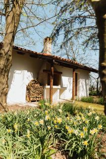 Villa Codetta - 3