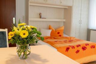 Parma 1-Zimmer-Apartment Pamir - 5