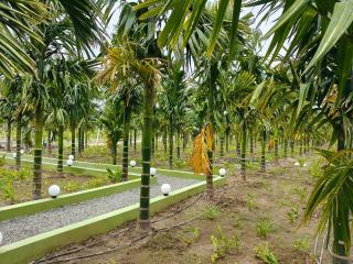 Siruvani Farm Stay Near Isha Yoga Adiyogi - 2