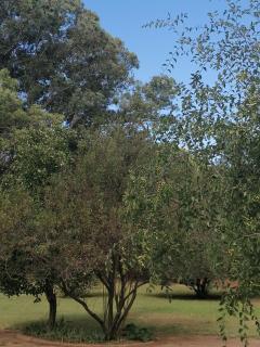 Bloekombos Guesthouse - Bethulie - 5