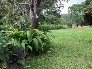 Aurora Eco stay - Weligama - 9
