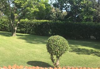 Villa delle Rose - 5