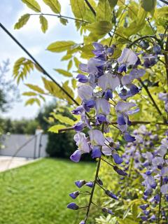 Villa Pasitea - Nature & Sea Retreat in Gargano, Puglia - 4