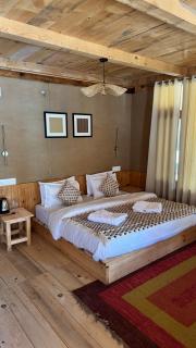 SAANJH, Shangarh - 2