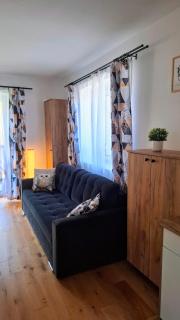 Willa Sowia nowe apartamenty z zachwycającym widokiem na góry i potok - 3
