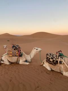 Morocco Wild Desert Camp - 1