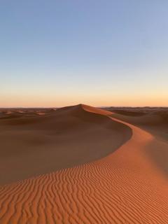 Morocco Wild Desert Camp - 2
