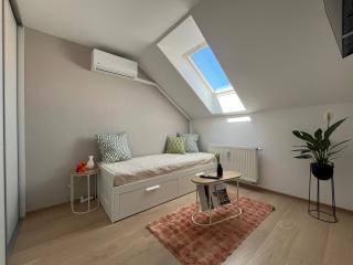 Main Square Olive Studio - 9