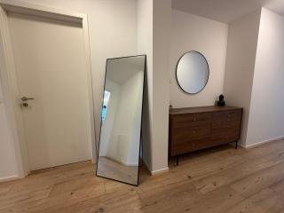 Modern Penthouse near Basel with Jacuzzi - 5