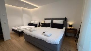 Modern Penthouse near Basel with Jacuzzi - 1