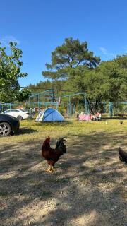 Adrasan Camping - 8