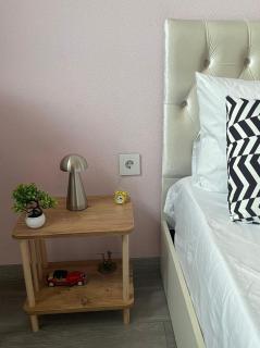 luxury apartment on nizami street - 1