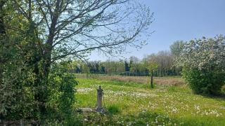 Fattoria degli Orsi, Relax Privacy e Cantina - 7