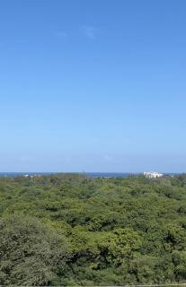Pacific Apartments - 5