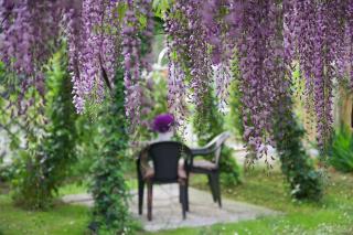 Il Giardino di Cristina B&B - 4