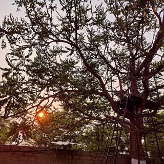 OrchardNest - 3