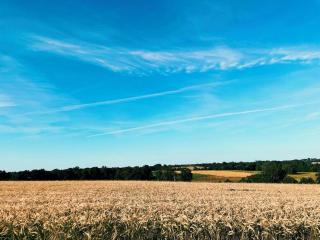 La Petite Félixière, B&B indépendants à 10 min de Cholet, 25 min du Puy du Foù et 35 min de Nantes - Saint-André-de-la-Marche - 4