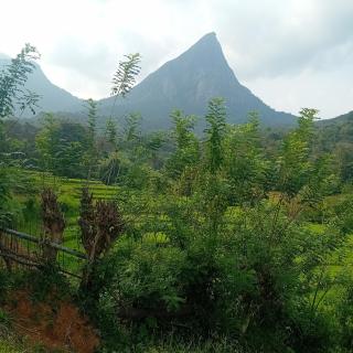 Meemure village stay - 8