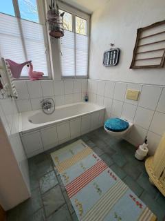 Großzügiges Studio-Apartment Siegblick 70qm mit XXL Balkon - 1