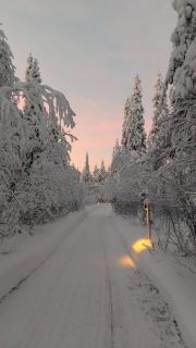 Swedish Lapland with privat sauna - 9