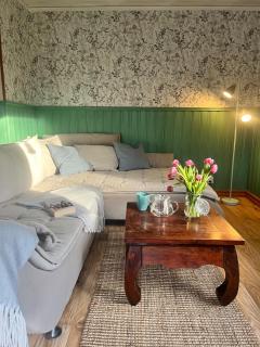 Swedish Lapland with privat sauna - 6