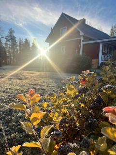 Swedish Lapland with privat sauna - 5