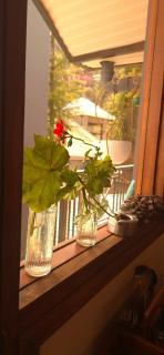Roots & Rustle homestay - 2