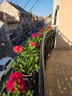 Spacious 165m2 apartment - 3BR & 3 terraces -Zemun Center Lux - 7