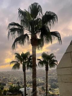 قصر الهندي - Al Hindi Palace - 3