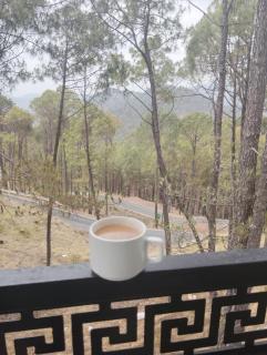 The Whistling Pine Homestay - 5