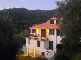 "Blue Villa" with private pool,BBQ in Andora - Moltedo - 8