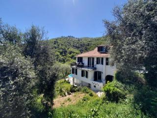 "Blue Villa" with private pool,BBQ in Andora - Moltedo - 9