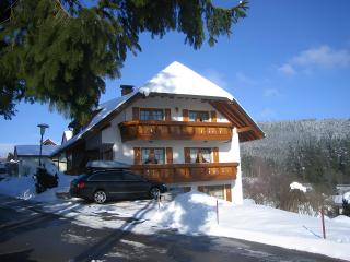 Haus Waldvogel - 8