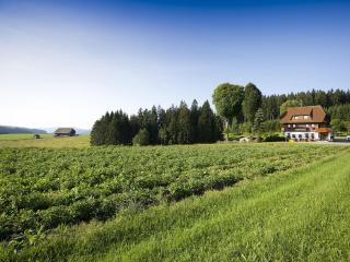 Gasthaus Schweizerhof - Titisee-Neustadt - 9