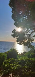 sun terrace and sea - 8