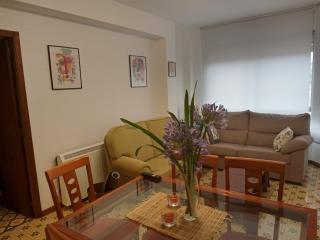 Piso Antonio Mestre - 1
