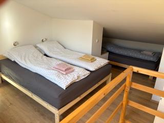 Stefs Nest - 5