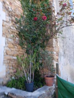 Gite de BEZUT - 2