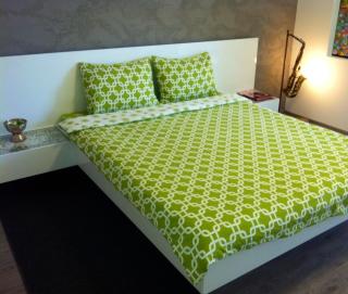 The Kiss Apartment - Timişoara - 5