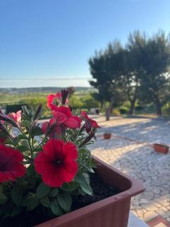 Villa Sideris - 4