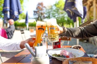 Schlosswirtschaft Moos, Zimmer mit Wirtshaus und Natur - 5
