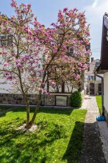 Tudor Central House Sibiu - Garden, Parking, Quiet Area - 6