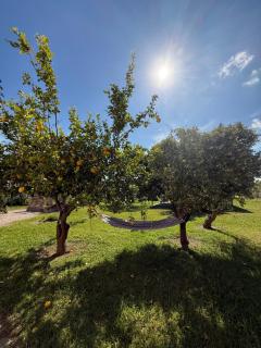 Villa Linda - 5