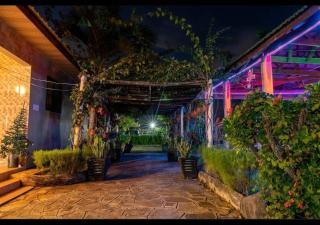 Paradiso Hotels & Resorts - 2