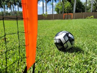 Bradenton FL 4BD Pool House - 5