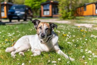 Haus Lotte und Frieda - 7