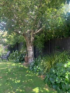 Private Retreat - 5