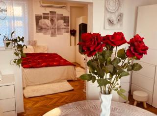 Comfort Studio Apartment - 8