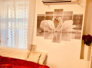 Comfort Studio Apartment - 7