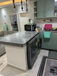 furnished hotel -style flat in nasr city - 1